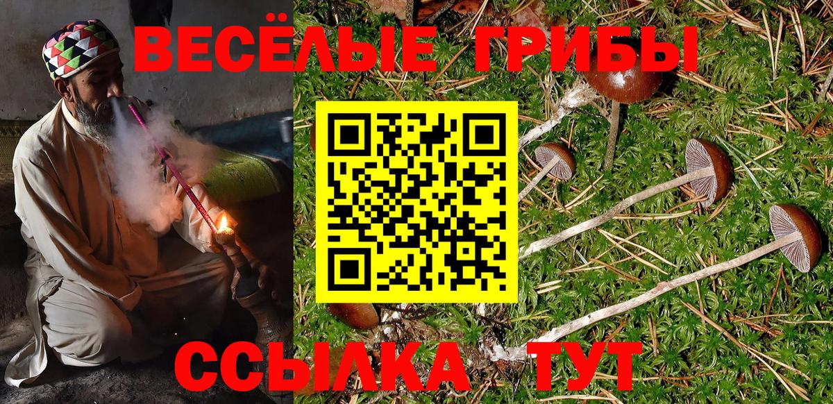 Псилоцибиновые грибы мицелий Качканар