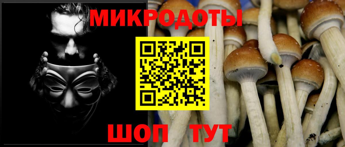 Галлюциногенные грибы мухоморы  Псилоцибиновые грибы GOLDEN TEACHER  Вход с VPN  Качканар 